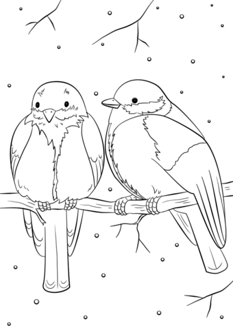 340x480 Winter Birds Coloring Page Free Printable Coloring Pages