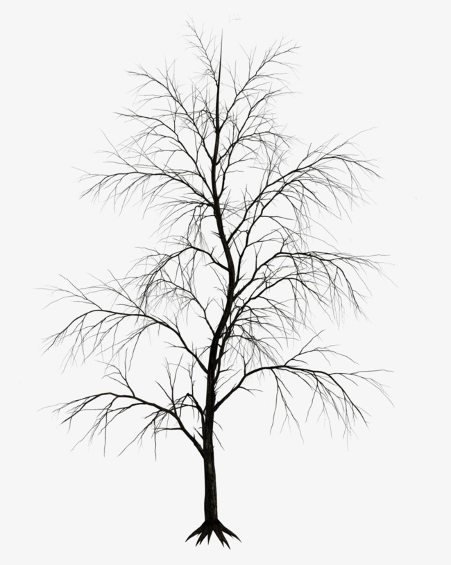 650x815 Winter Trees, Winter, Trees, Bald Png Image For Free Download