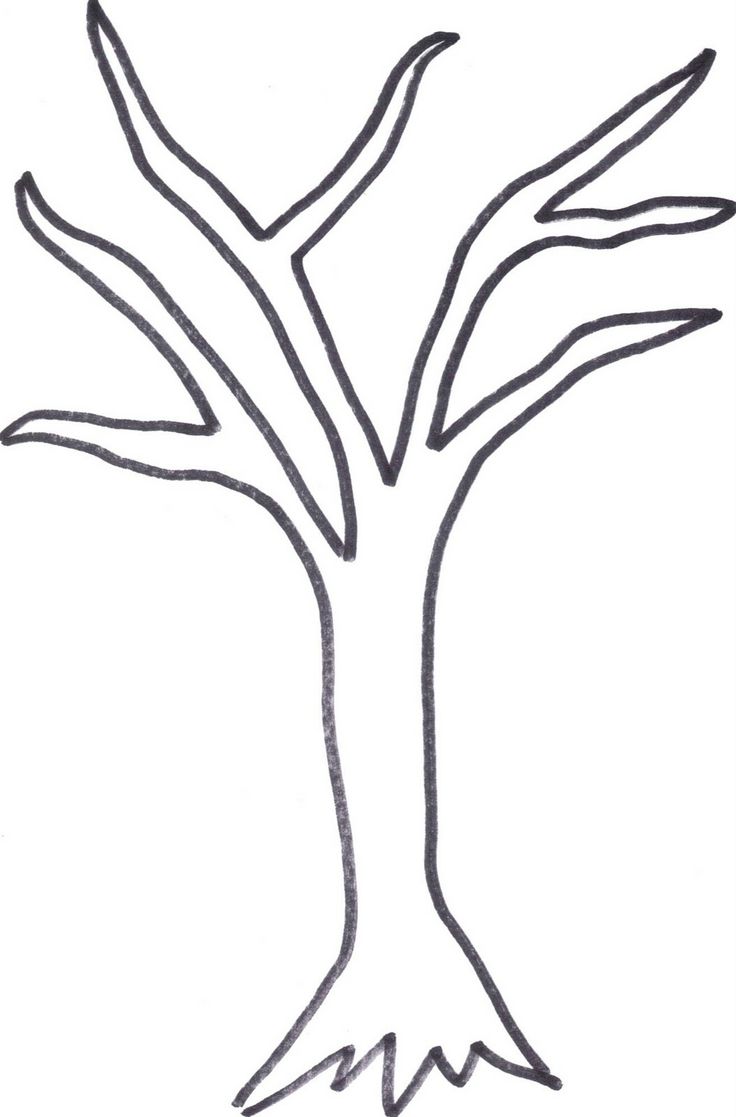 736x1117 Perfect Winter Tree Coloring Page Ideas For You