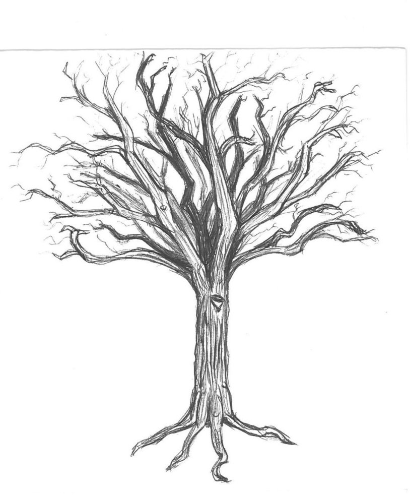 814x982 Uncategorized. How To Draw A Winter Tree. Designfacebookcover