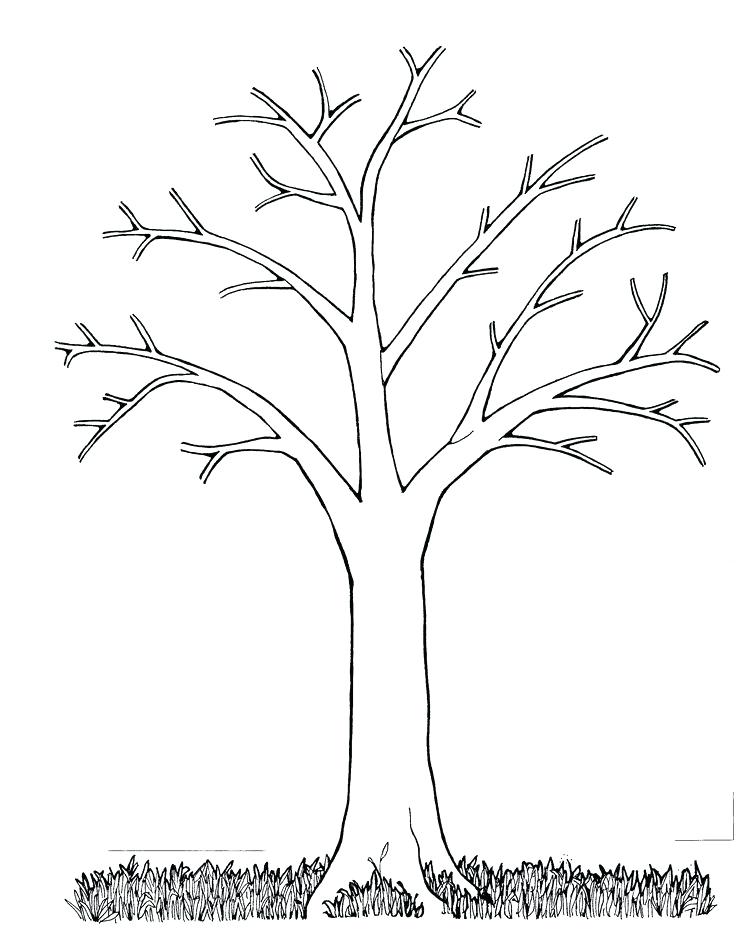 736x948 Winter Tree Coloring Page Trees Without Leaves Coloring Pages