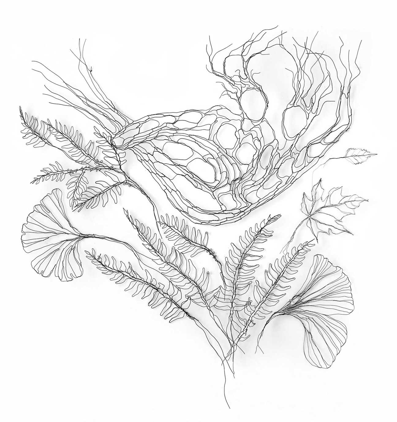 1296x1377 Wire Botanicals Wire Sculpture And Illustration