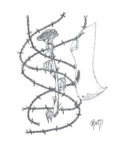 265x300 Barbed Wire Drawings