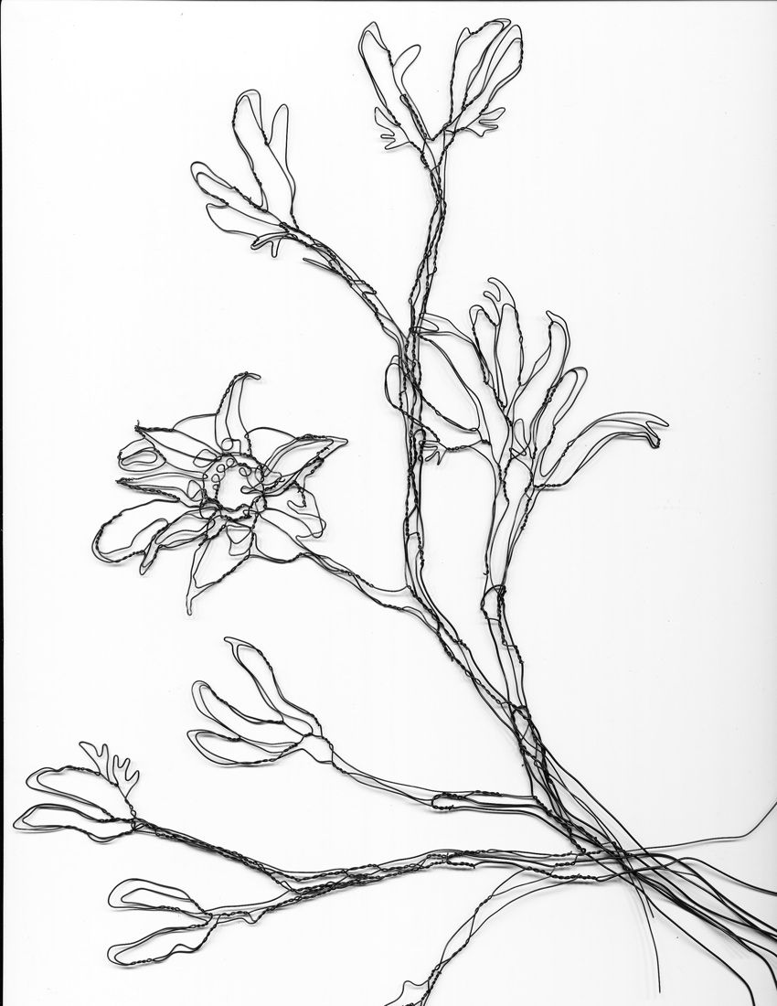 850x1100 Pin By Jayesh Ghule On Creative And Diy Wire Art