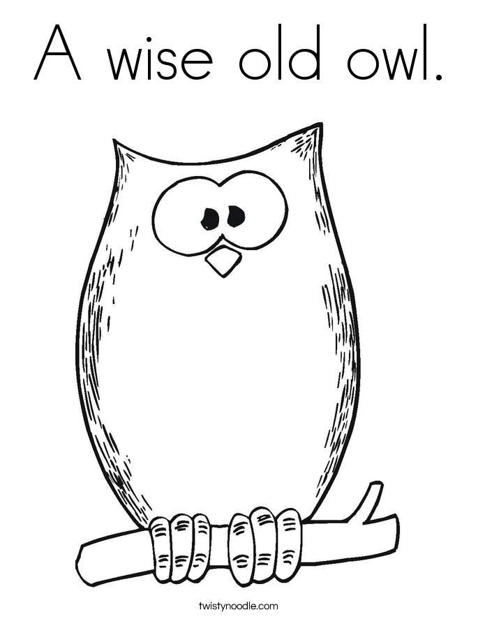 Wise Owl Drawing