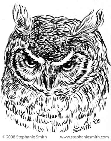 377x482 Illustration Friday Wise Scribbles Amp Scribings