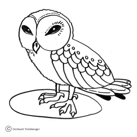 480x480 Wise Little Owl Coloring Page Free Printable Coloring Pages