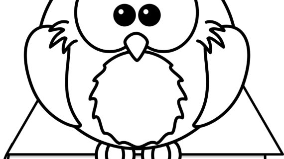 570x320 Books On Drawing Cartoons How To Draw A Wise Owl