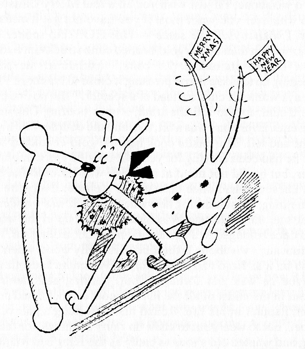 1030x1179 What's The Story, Wishbone Vovatia