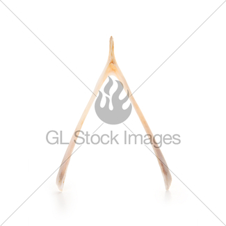 325x325 Wishbone Images Gl Stock Images