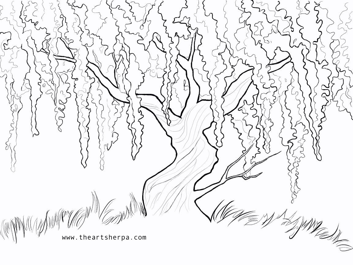 1152x864 Wisteria Willow Trace Able For The Weeping Willow Q Tip Project