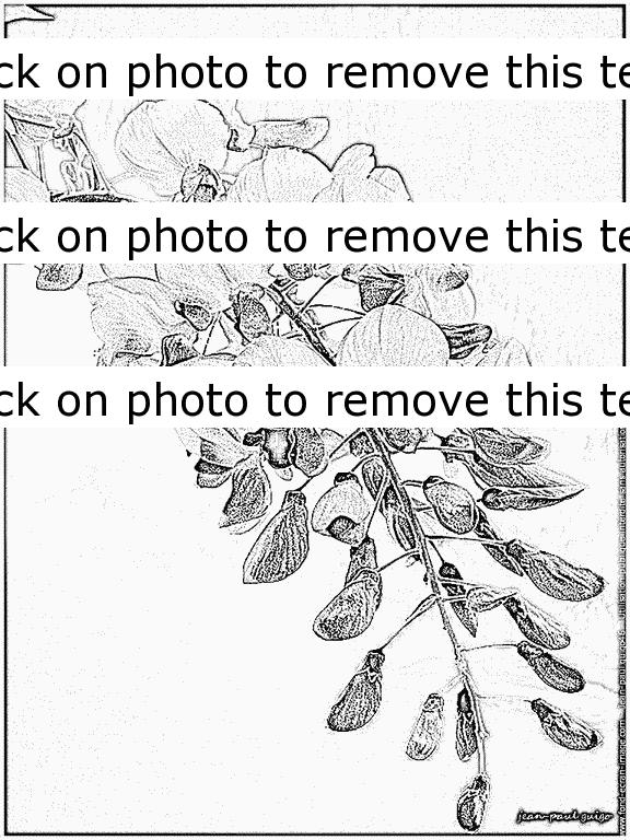 576x768 Wisteria Vines