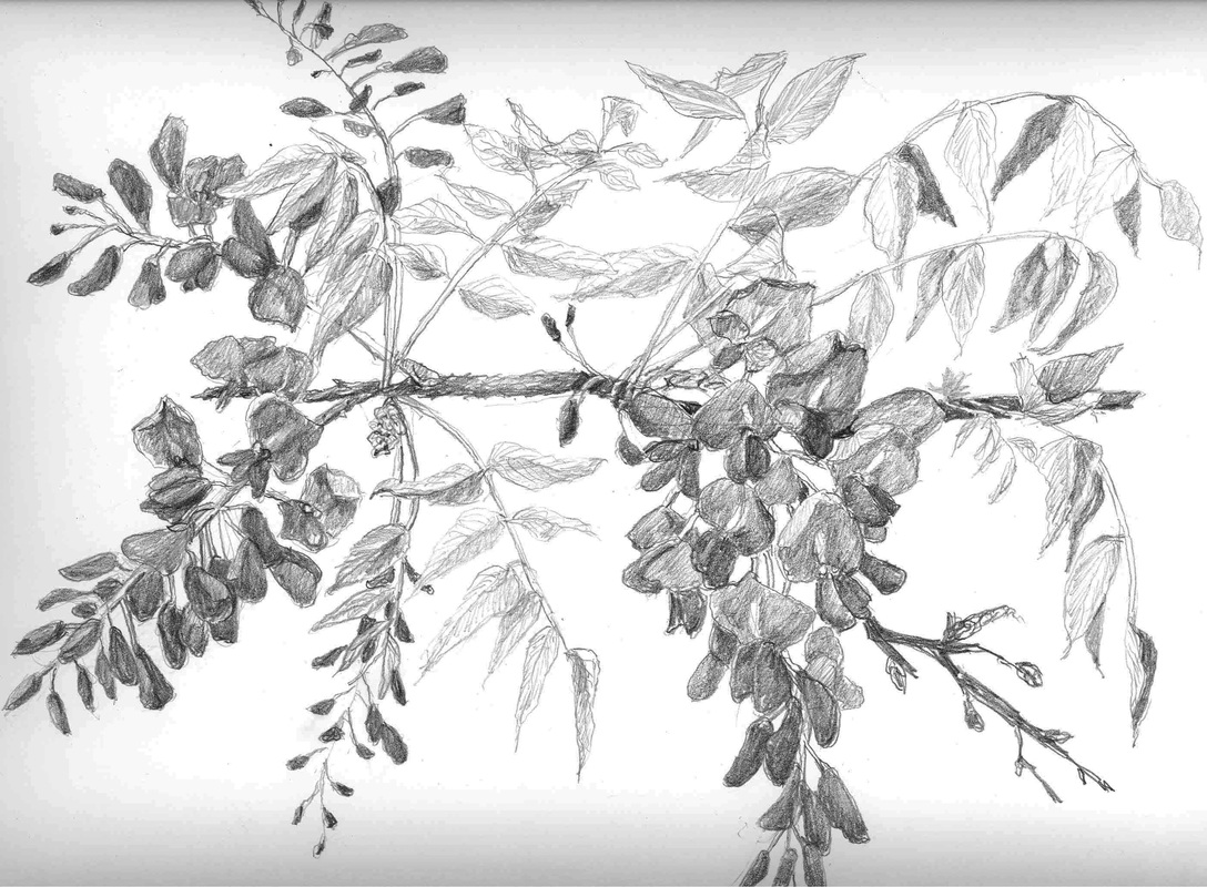 1088x800 Graphite Florals