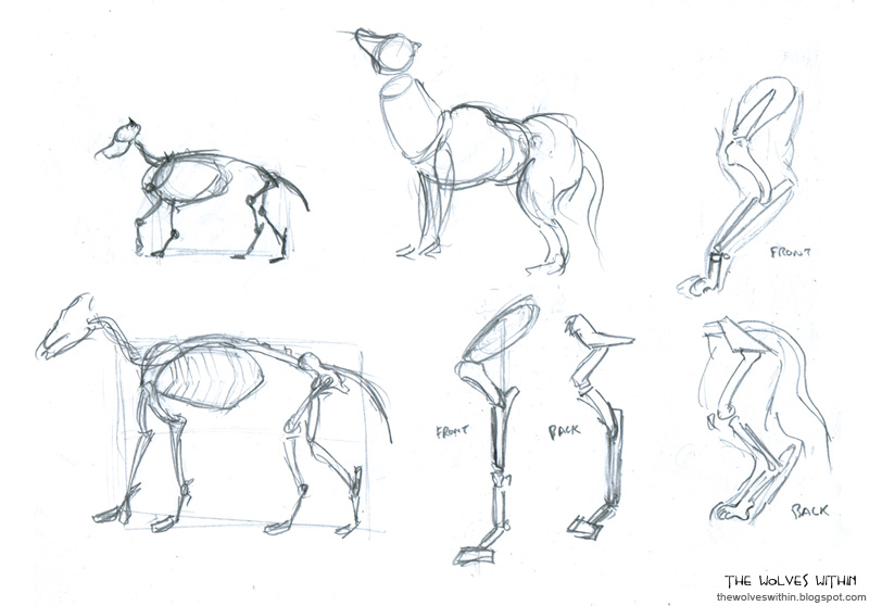 Wolf Anatomy Drawing at GetDrawings | Free download