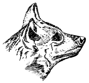 296x274 Designs, Raven Publishing