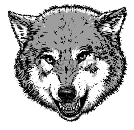 450x436 Engrave Isolated Wolf Illustration Sketch. Linear Art Stock Photo