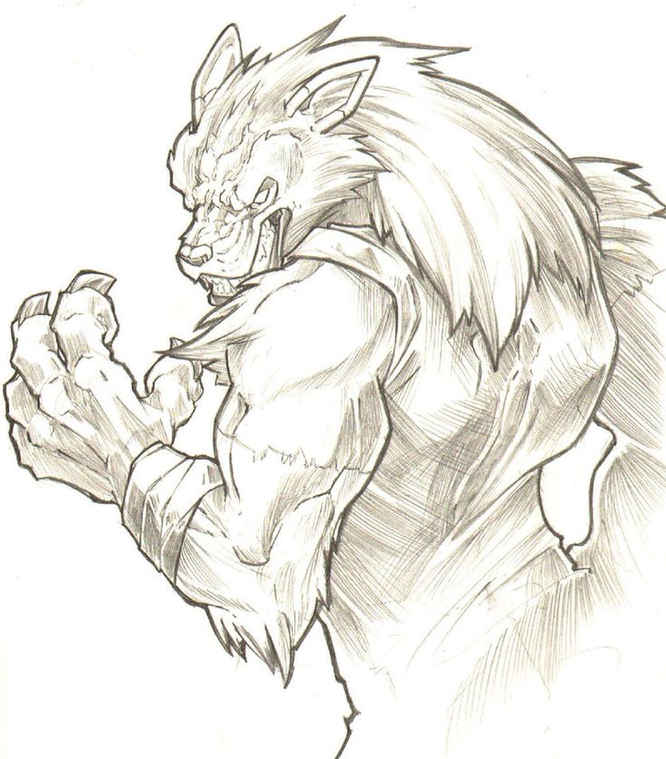 736x839 437 Best Wolves And Werewolves Images On Werewolves