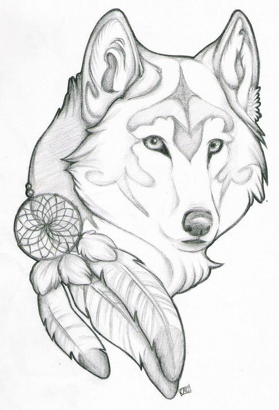 Wolf Art Drawing at GetDrawings | Free download