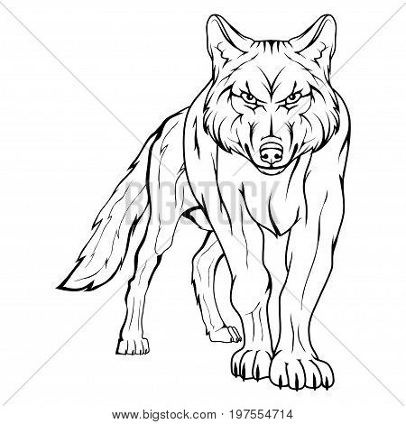450x470 Wolf Face Images, Illustrations, Vectors