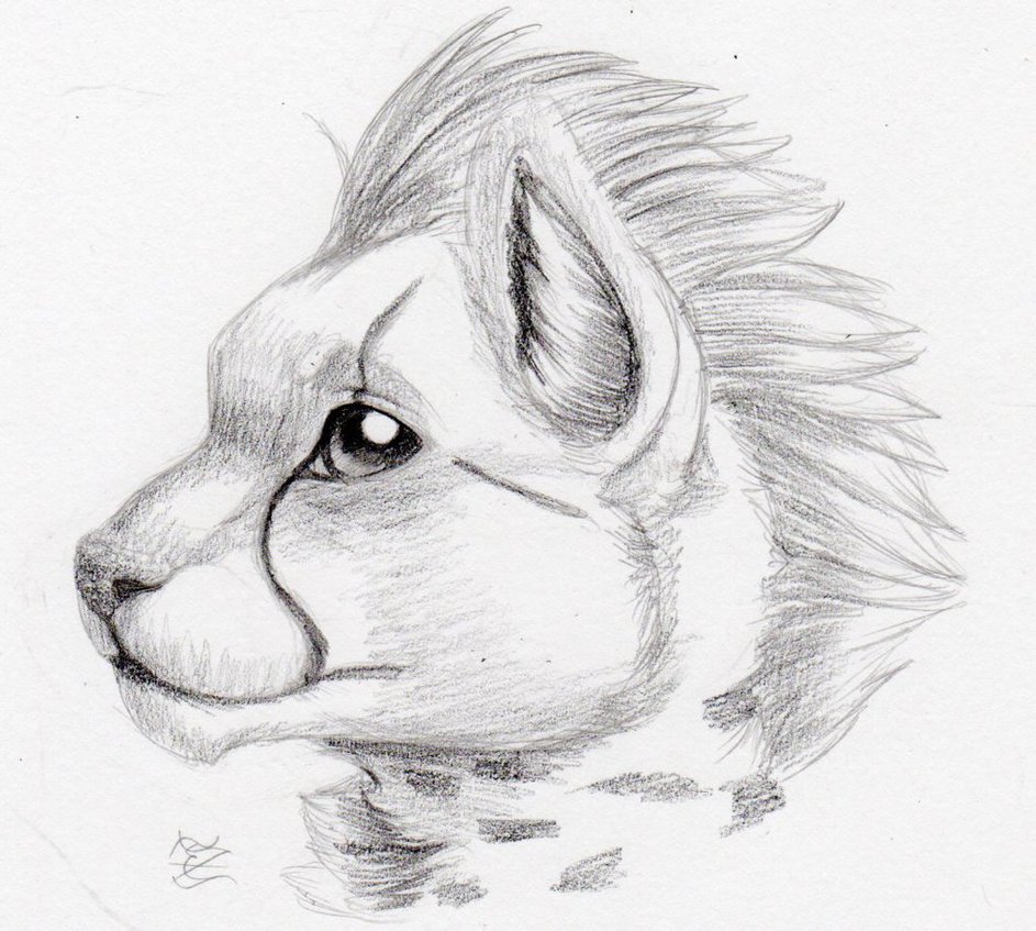 943x847 Daily Drawing Day 268 Cheetah Cub Quickie By Midnighthuntingwolf