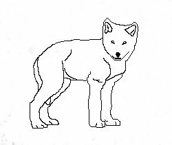 250x211 Wolf Cub Outline 2 By Ace118