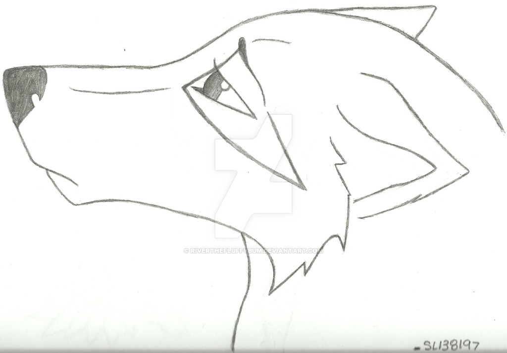 1024x713 Sad Wolf Drawing By Wintersred