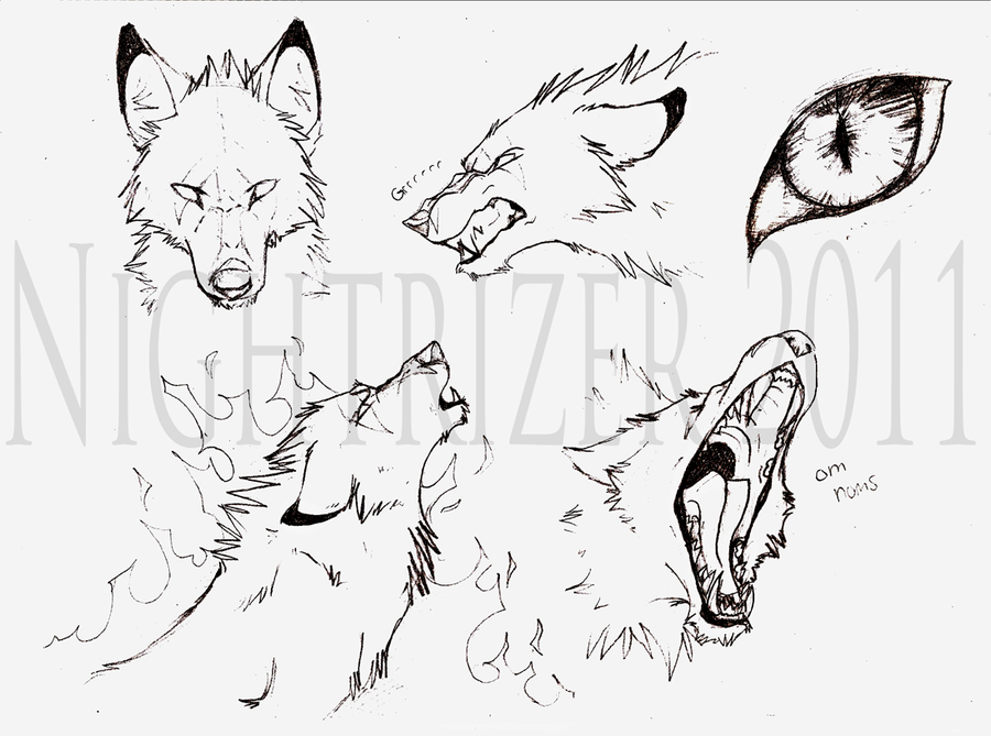 900x669 Baskabar Wolf Sketches By Nightrizer