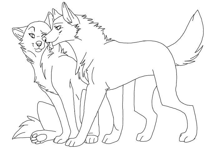 698x499 Gorgeous And Amazing Drawing Technique For Fur Amp And A Wolf