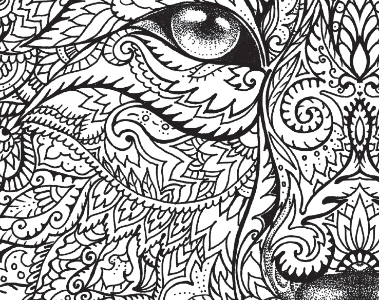 738x585 The Macmillan Jungle Book Colouring Book Free Wolf Pattern