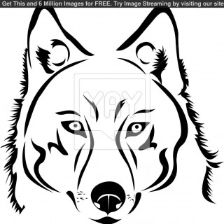 320x320 Tag For Outline Of A Dog In Cartoon Style Vector Set Of Cartoon