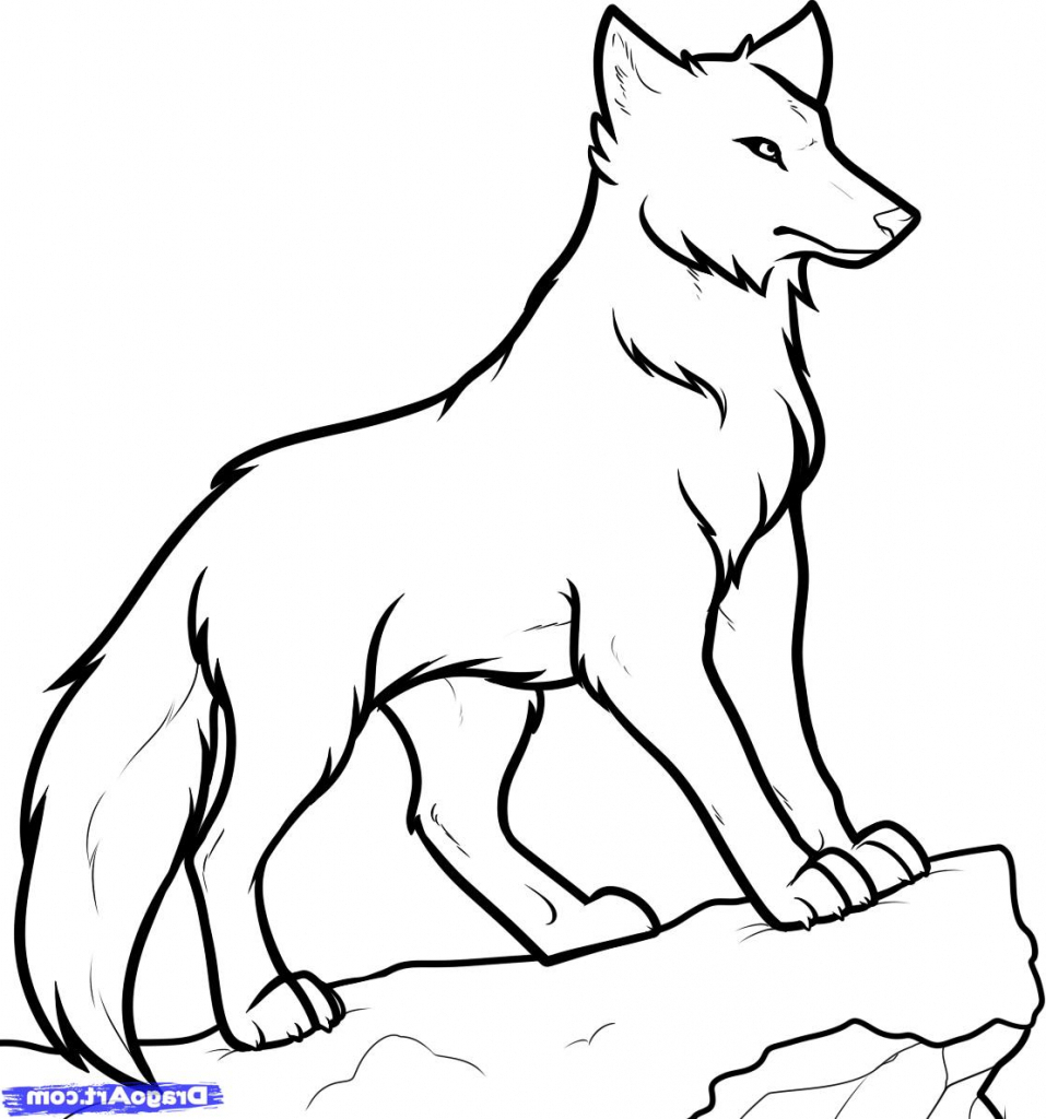 957x1024 Easy Drawing Of A Wolf