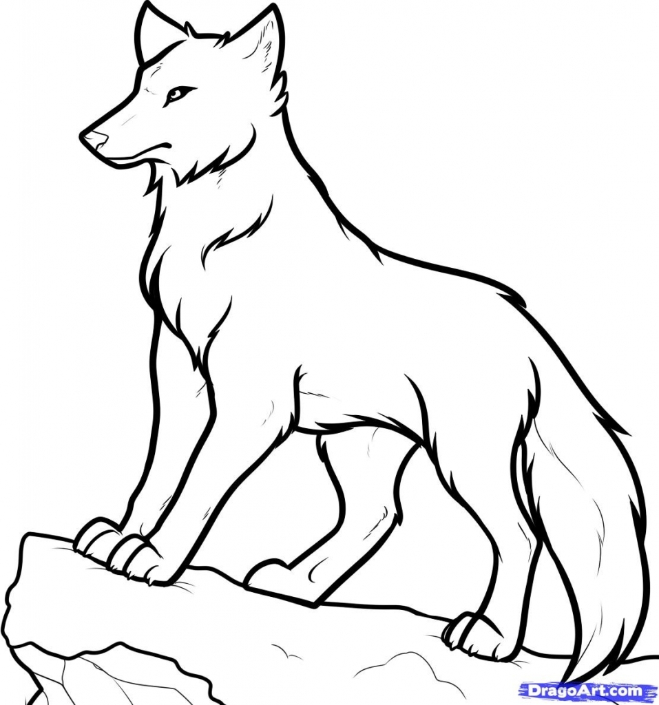 Wolf Drawing Easy Step By Step at GetDrawings | Free download