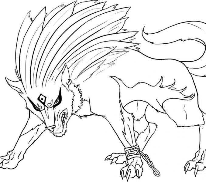 678x600 Free Wolf Coloring Pages Kids Coloring