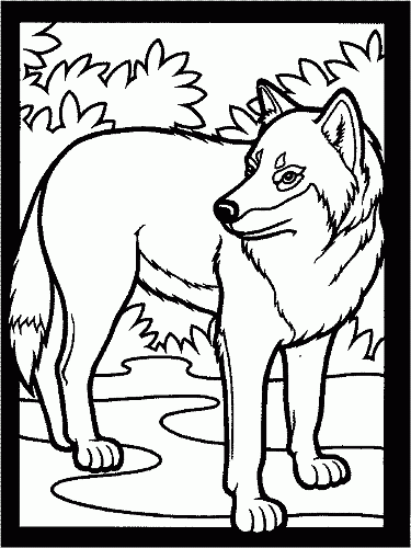 375x500 Wolf Coloring Page For Kids