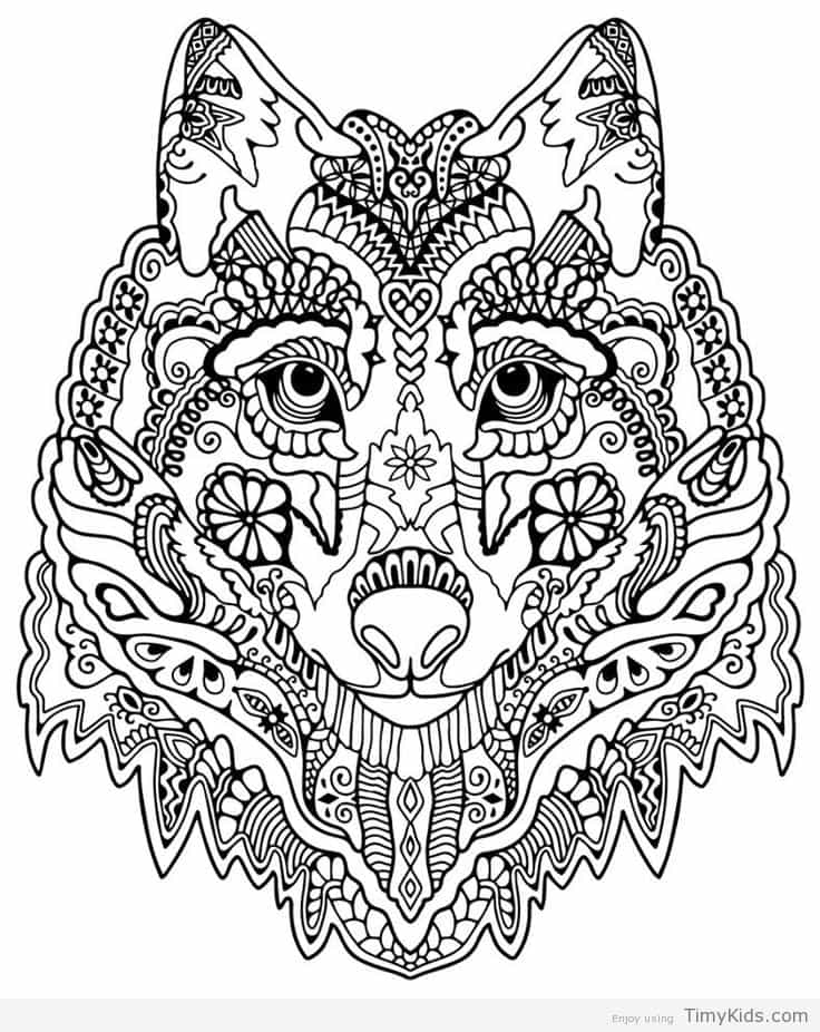 736x926 Wolf Coloring Pages For Kids Timykids