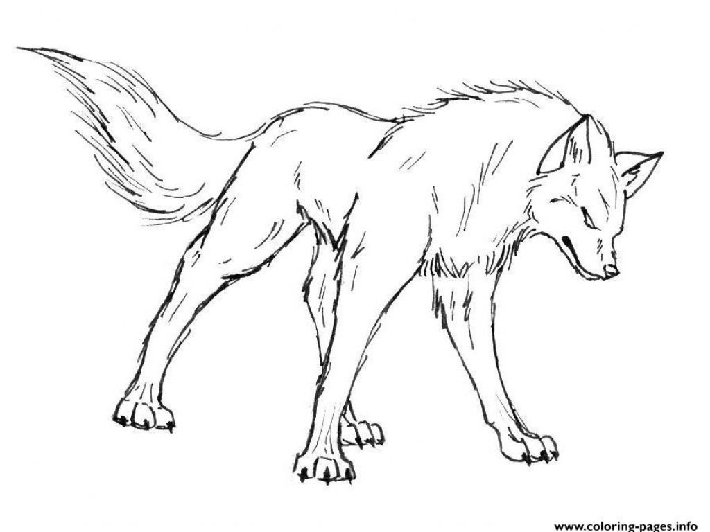 1024x768 Wolf Gray On Alert Mammals Coloring Pages For Realistic Free