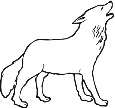 381x360 Wolf Coloring Pages For Kids