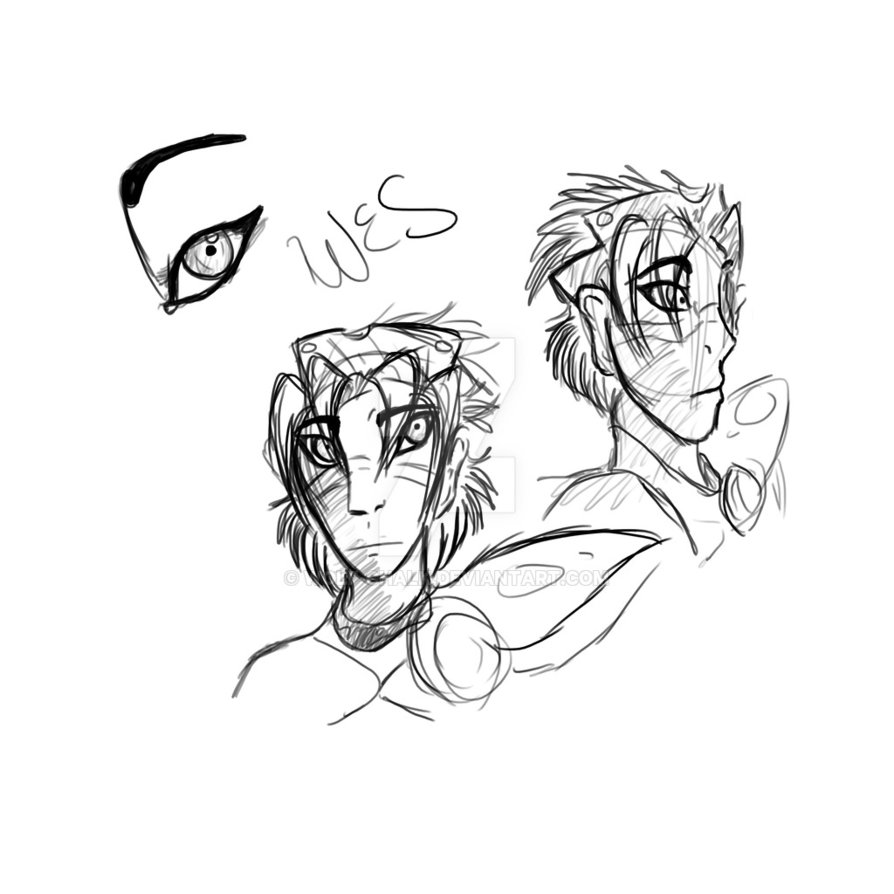 894x894 I Can'T Draw Wes. By Wolf Chalk