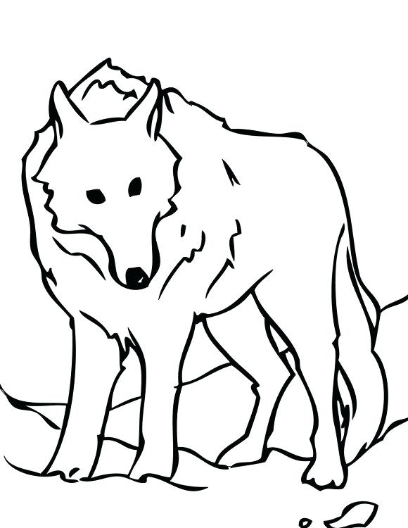 580x750 Cartoon Coloring Games Arctic Wolf Coloring Pages Media