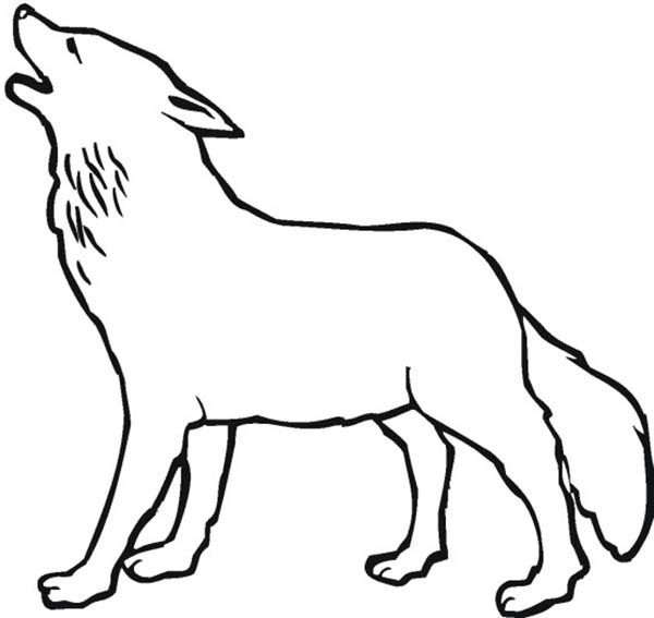 600x567 Wolf Howling In The Night Coloring Page