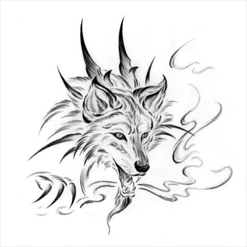 800x800 Wolf Dragon Sketch By Sultzaberger