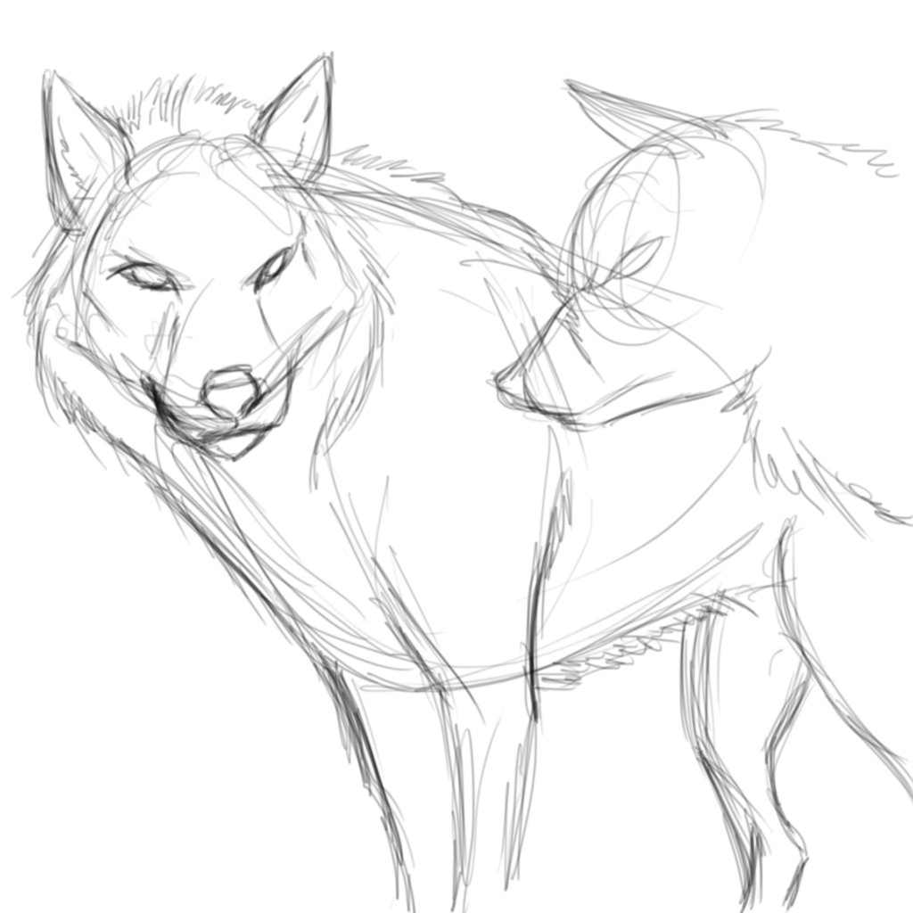 1024x1024 Wolf Sketch By Cookx5453