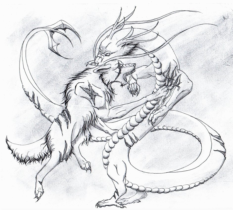 942x849 Dragon Vs Wolf By Vick Wolf