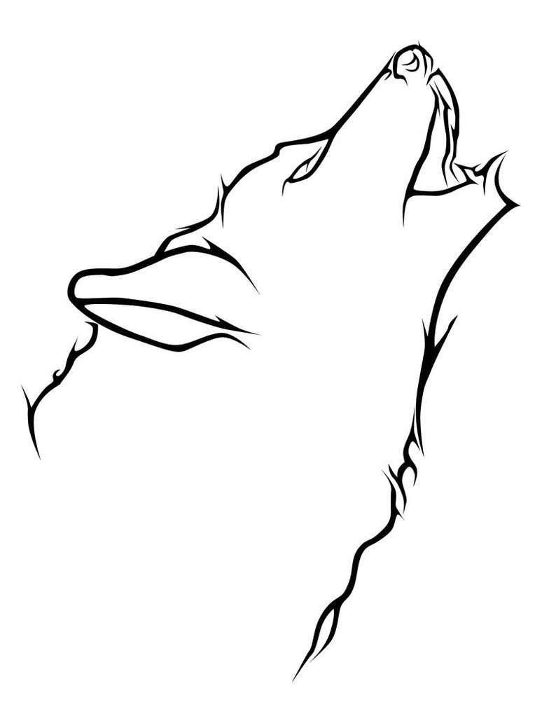 774x1032 Drawing Easy Wolf Drawings Face In Conjunction With Easy Baby