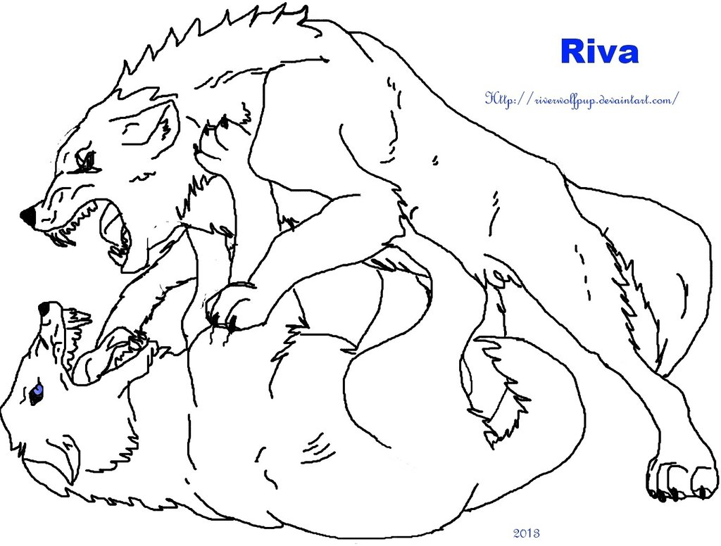 1024x776 Wolf Fight By Riverwolfpup