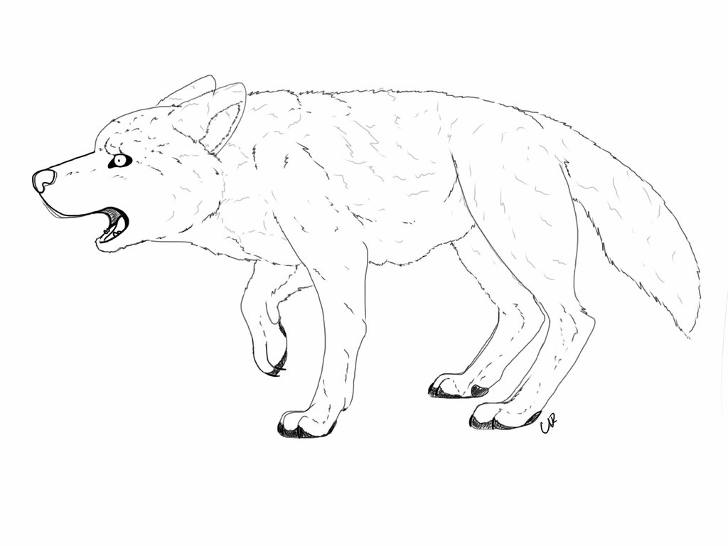 wolf-drawing-outline-at-getdrawings-free-download