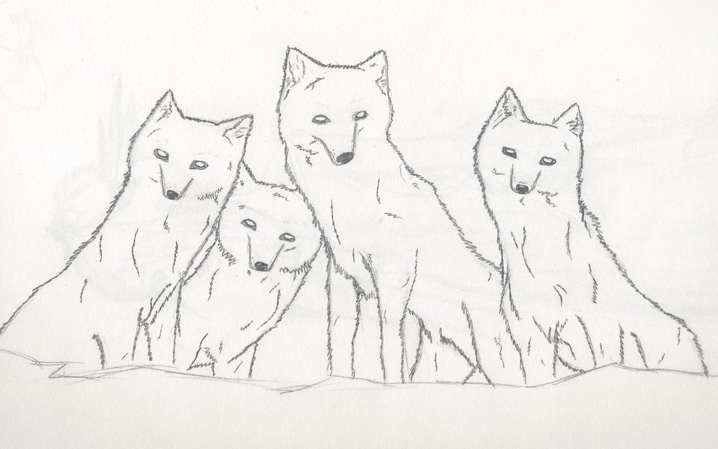 1024x640 Wolf Pack Outline By Kykolove