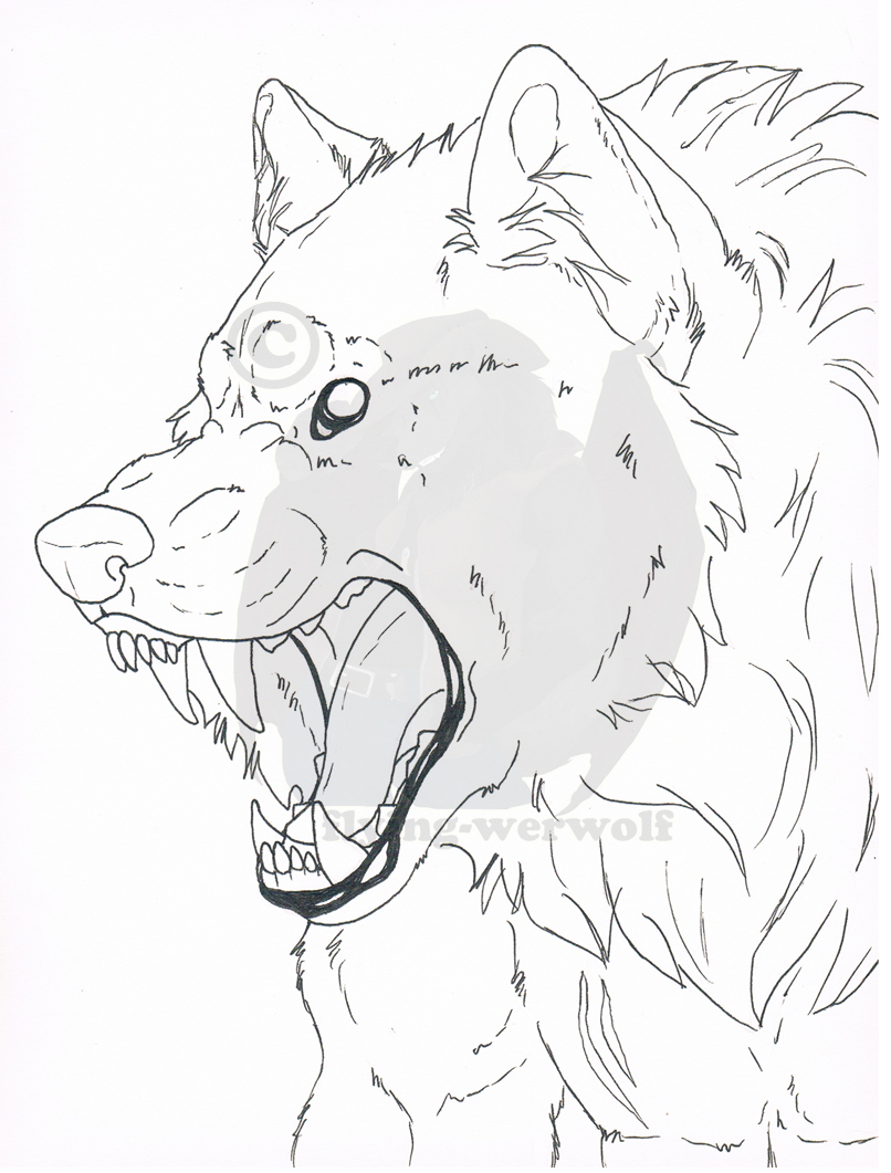 806x1061 Werewolf Rawr Outline By Nathalienova
