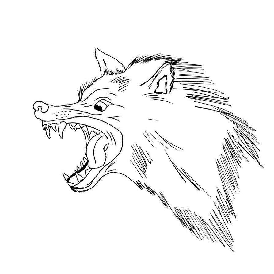 Wolf Drawing Outlines at GetDrawings | Free download