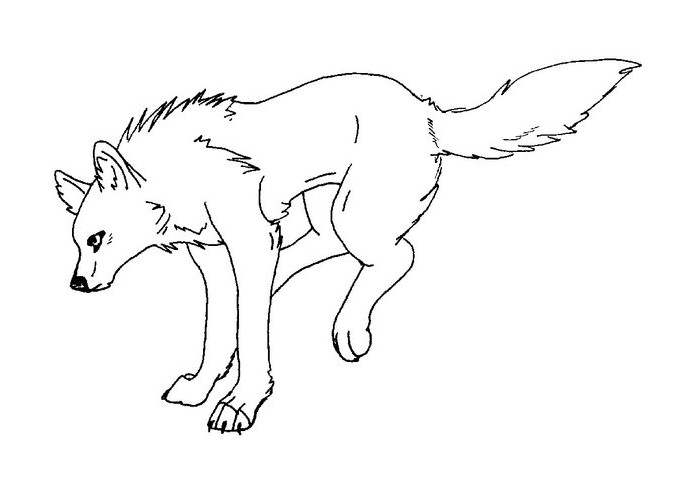 700x500 Wolf Template